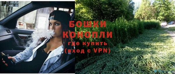 мяу мяу кристалл Богданович