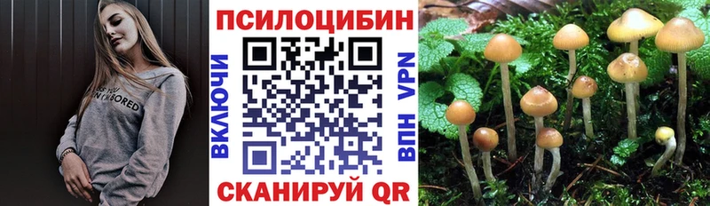 Псилоцибиновые грибы MAGIC MUSHROOMS  Купить где  Новокузнецк 